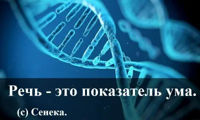Влияние матов на ДНК