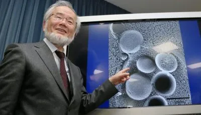 Польза однодневного голодания