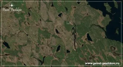 Проблема вырубки леса в Карелии