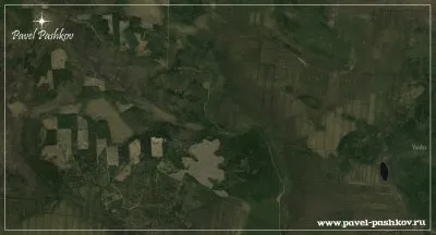 Проблема вырубки леса в Карелии