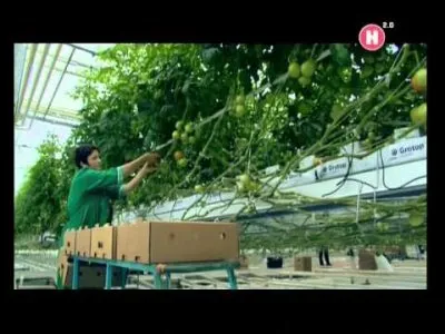 Наука 2.0. Большой скачок. Биоинженерия. Документальный фильм