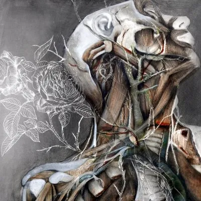 Связь характера человека и заболеваний тела