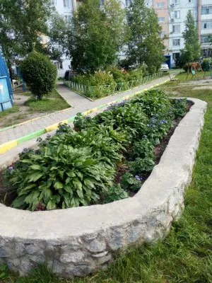 ЗАЧЕМ ГОРОЖАНИНУ ТСЖ И ГОРИЗОНТАЛЬНАЯ ОБЩИННАЯ САМОДЕЯТЕЛЬНОСТЬ