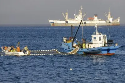 РЫБНОЕ МОРЕ С БЕЗЛЮДНЫМИ БЕРЕГАМИ