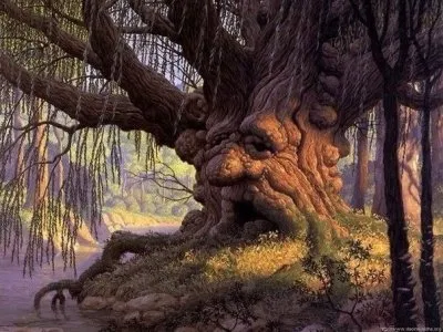 Лечение энергией деревьев - дендротерапия