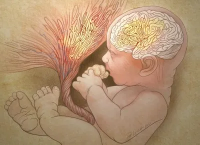 Перерезание пуповины нельзя делать сразу после родов