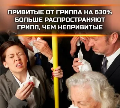 Привитые от гриппа люди чаще его распространяют