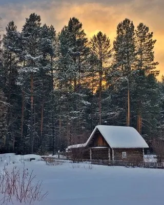 Государству выгодно, чтобы люди жили в городах
