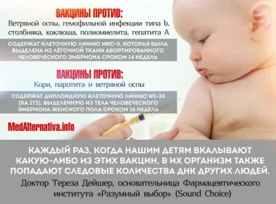 Некоторые из вакцин содержат человеческий абортированный материал