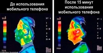 В детсадах и школах Европы запрещают беспроводной интернет