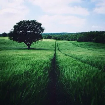 20 законов мироздания. Как изменить судьбу