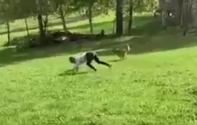 Доказательство реинкарнации