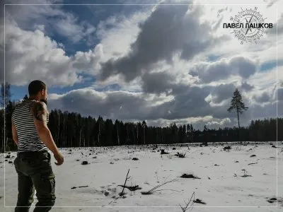 Накалены до предела. Вырубка леса, лесные пожары, строительство мусорных полигонов