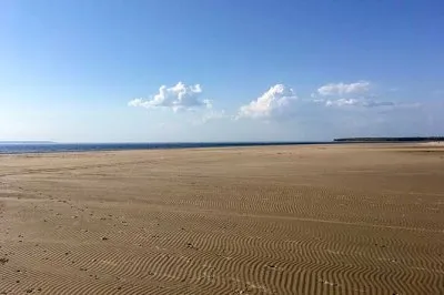 В Волге закончилась вода. Сотрудники ГЭС устроили экологическое бедствие
