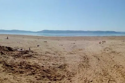 В Волге закончилась вода. Сотрудники ГЭС устроили экологическое бедствие