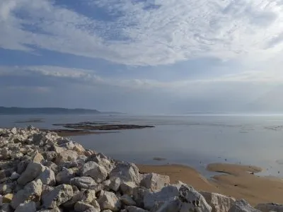 В Волге закончилась вода. Сотрудники ГЭС устроили экологическое бедствие