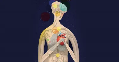 Психосоматика тела. Телесная психология