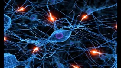 Как ртуть из вакцин влияет на нервные клетки человека