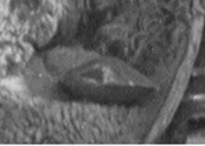 Тайная находка группы Дятлова