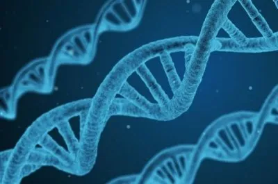 В России создана новая технология борьбы с раком - Трансген