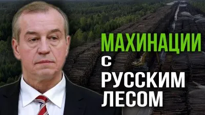 Махинации с русским лесом
