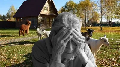 Ювенальная юстиция: отобрали внучку за поход на ферму