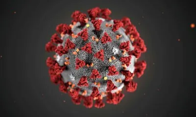 Что все еще неизвестно о коронавирусе?