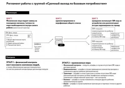 Законы против коронавируса - подготовка переворота?