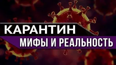 Карантин: мифы и реальность