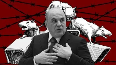 Что задумали цифровизатор Мишустин и его команда?