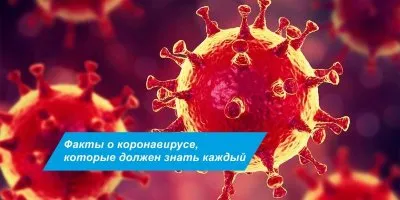 Взгляд на реальные факты о "пандемии covid-19"