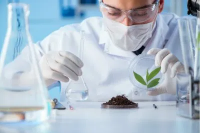 Зачем проводить испытание почвы?