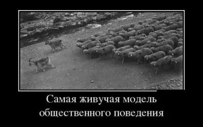 TikTok - технология управления сознанием молодежи