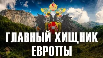 Главный хищник Европы