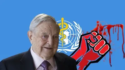 Феминистки объявили пандемию домашнего насилия в мире