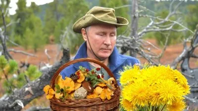 За сбор грибов, ягод и трав будут штрафовать?