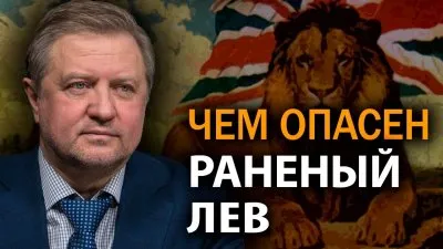Чем опасен раненный лев