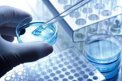 Насколько можно верить свидетельствам судебной медицины?