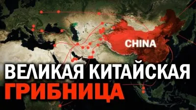 Великая китайская грибница