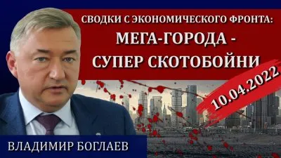 Мега-города - супер скотобойни