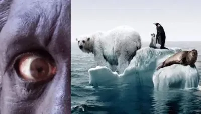 Запад продвигает каннибализм