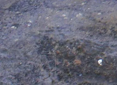 Истуканы острова Пасхи появились в 19 веке?