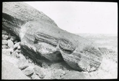 Истуканы острова Пасхи появились в 19 веке?