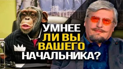 Умнее ли вы вашего начальника?