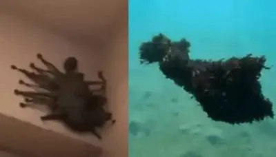 Во всем мире стали замечать жутких существ