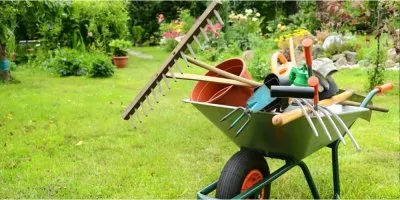Какие работы проводить с саду в конце зимы – начале весны?