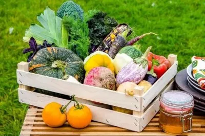 Польза употребления фермерских продуктов: здоровье в каждом укусе