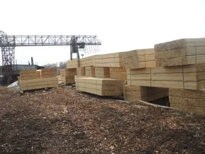 Русский лес от переруба до недоруба. Часть вторая: беззащитная отрасль