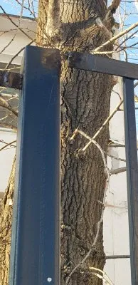 Миграционный аспект. Бюджетный забор с аукционным подвохом