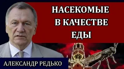 Насекомые в качестве еды